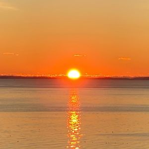 Meet your Posher, Michele